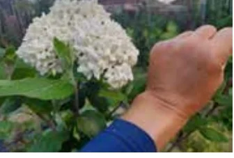바람숲농원